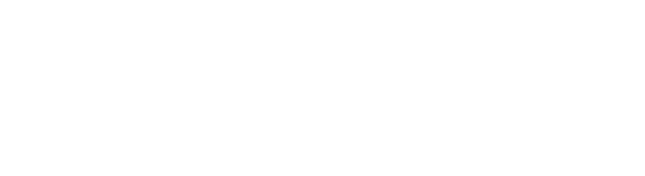 fipsolutions-seo-webdesign-design-frontend-aus-bonn-logo