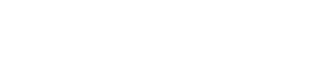 Fipsolutions SEO Webdesign digitale Beratung und Anaylse aus Bonn - Logo